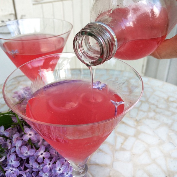 Pink Gin Fizz Cocktail